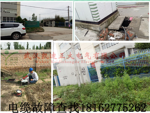 1461720585838025.jpg 高压91视频18岁入口检测.jpg