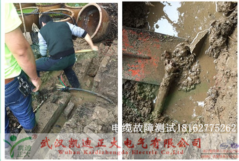 1480986375431105.jpg 植物园91视频18岁入口测试.jpg