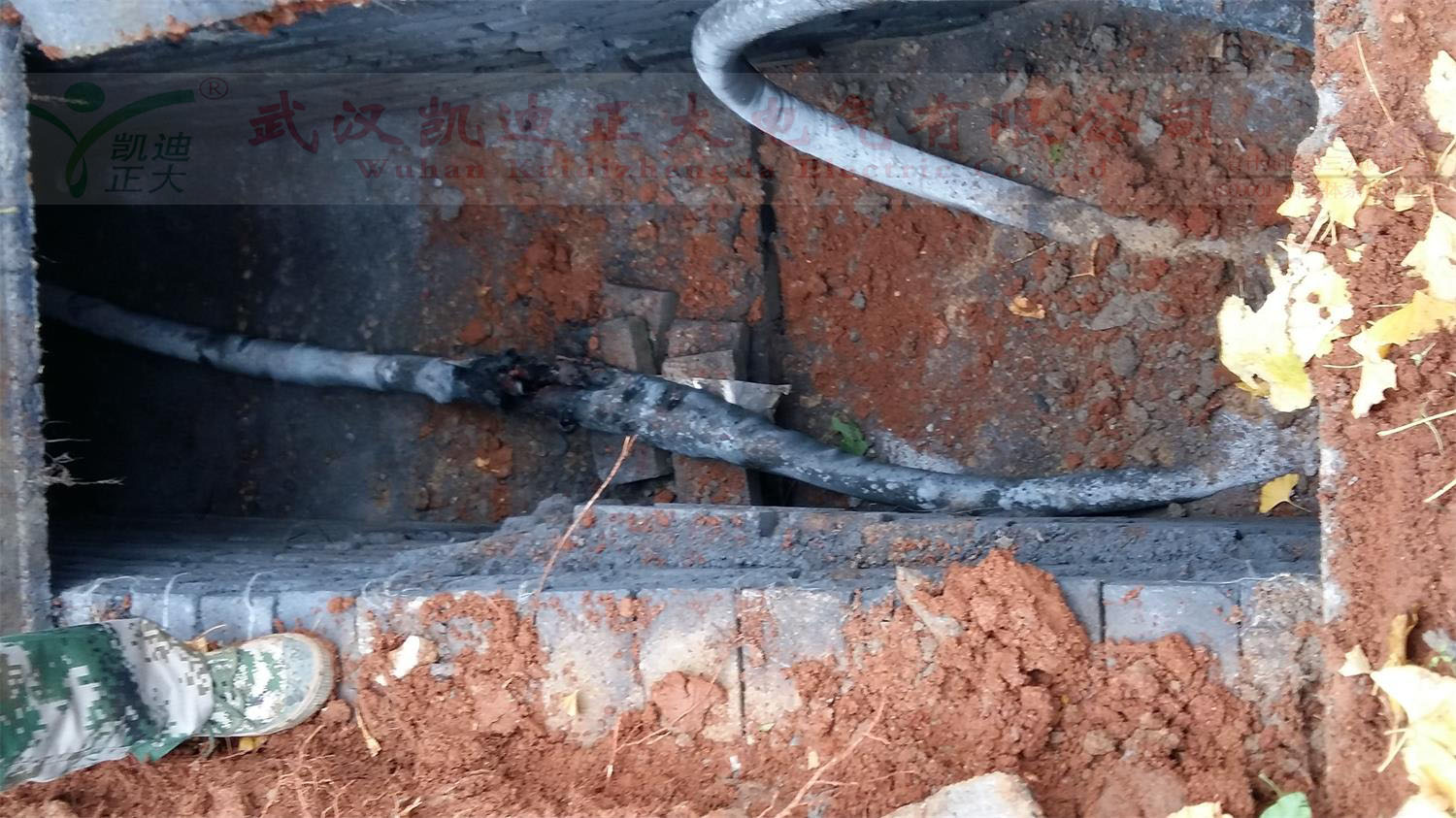 1513061684246676.jpg 1513061684246676.jpg