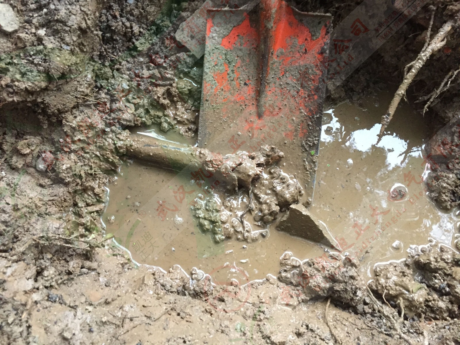 1513220329660747.jpg 1513220329660747.jpg