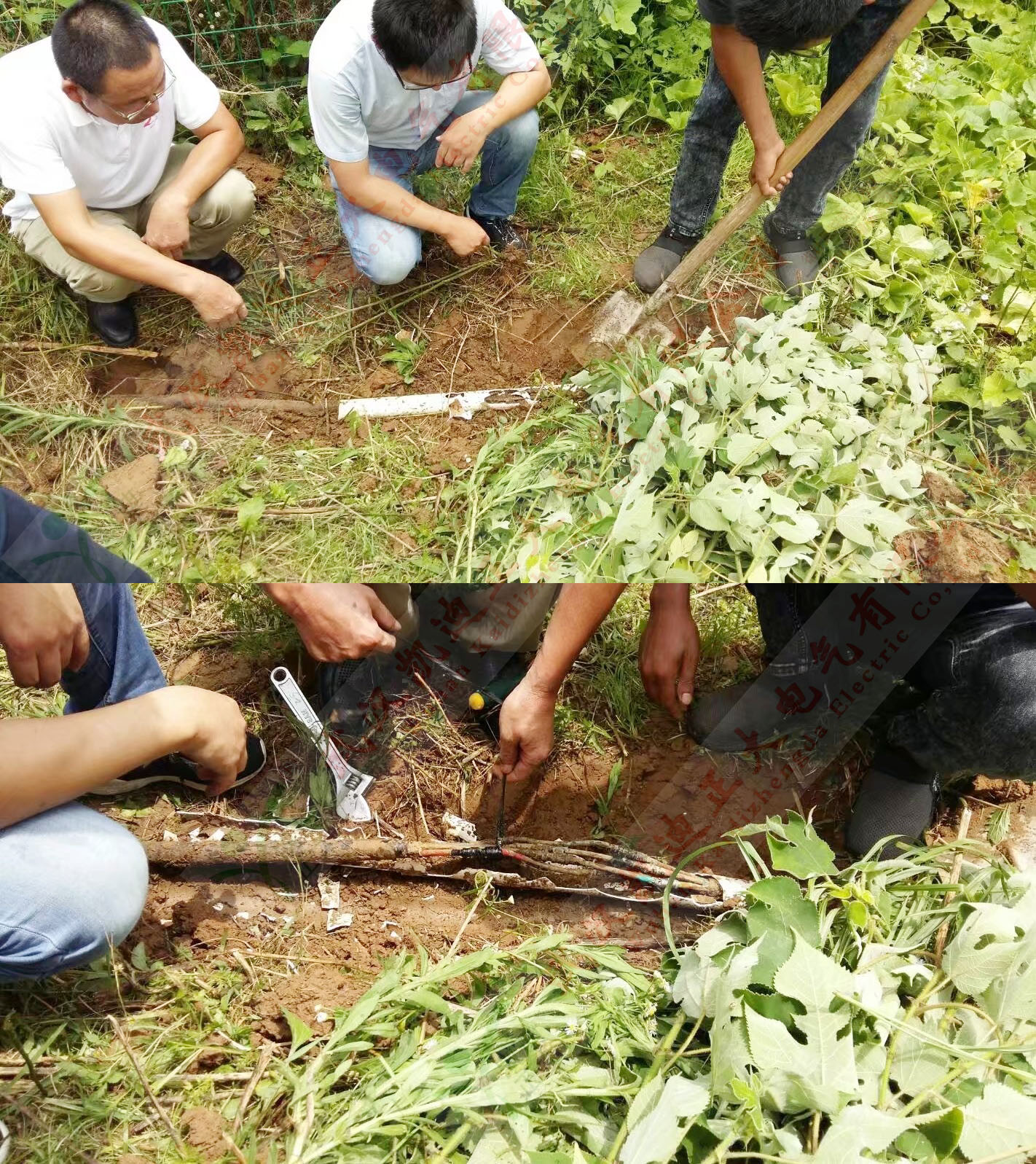 1513222395818228.jpg 1513222395818228.jpg