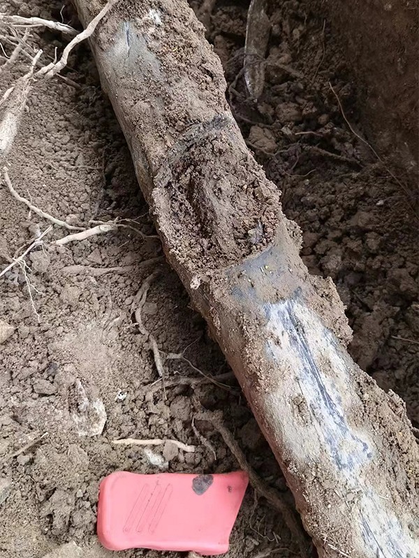 1721793117276853.jpg 老网站2.jpg