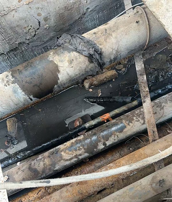 1766109338348662.jpg 4091ac338bac4836fbe4ed1adf4655c.jpg